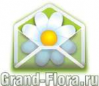 Логотип компании Доставка цветов Гранд Флора (ф-л г. Ачинск)